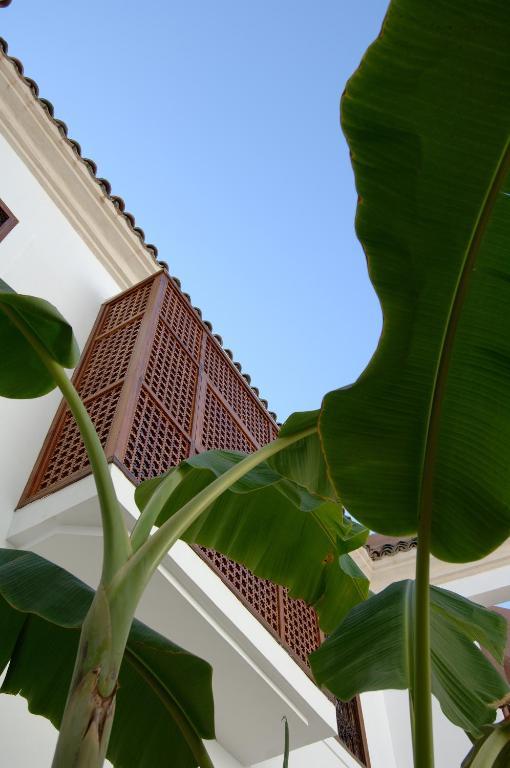 Riad Up Marakéš Exteriér fotografie